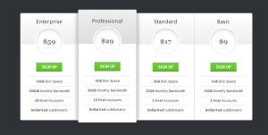 css3-pricing-table