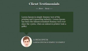 client-testimonial-slider