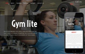 gym-lite-flat-bootstrap-responsive-template