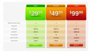 professional-pricing-table-hosting-plans-psd