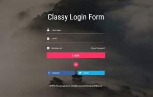 classy-responsive-login-form