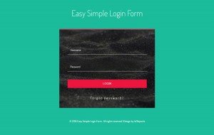 easy-simple-login-form