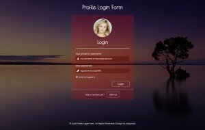 profile_login_form-responsiv-template